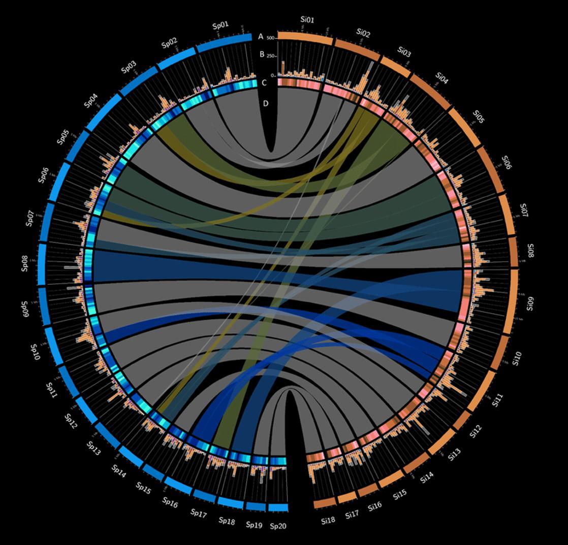 Genome Sequencing Projects